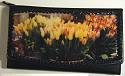 Debora Art Wallet Tulips