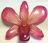 Dendrobium Pink Orchid Pin/Pendant