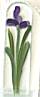 Crystal Nail File, Purple Iris
