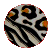 Animal Prints