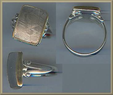 Steven Battelle SS/18kt Meteorite Ring