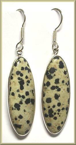 Charles Albert Dalmation Jasper Earrings