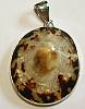 Charles Albert Limpet Shell Pendant