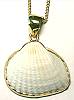 Charles Albert Alchemia Ark Shell Pendant