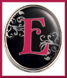 Finders Key Purse Clip E