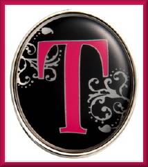 Finders Key Purse Clip T