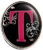 Finders Key Purse Clip T