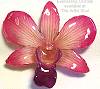 Dendrobium Pink Orchid Pin/Pendant