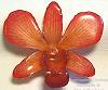 Dendrobium Orange Orchid Pin/Pendant
