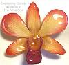 Dendrobium Golden Peach Orchid Pin/Pendant