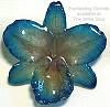 Cattleya Turquoise Orchid Pin/Pendant
