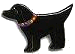 Dogs in Art and Accessories