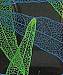Reviews for Skeleton Leaf Jewelry