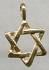 The Touch 14kt Star of DavidCharm