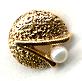 The Touch 14kt Clamshell Earrings