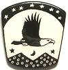 Miska Bald Eagle Pin